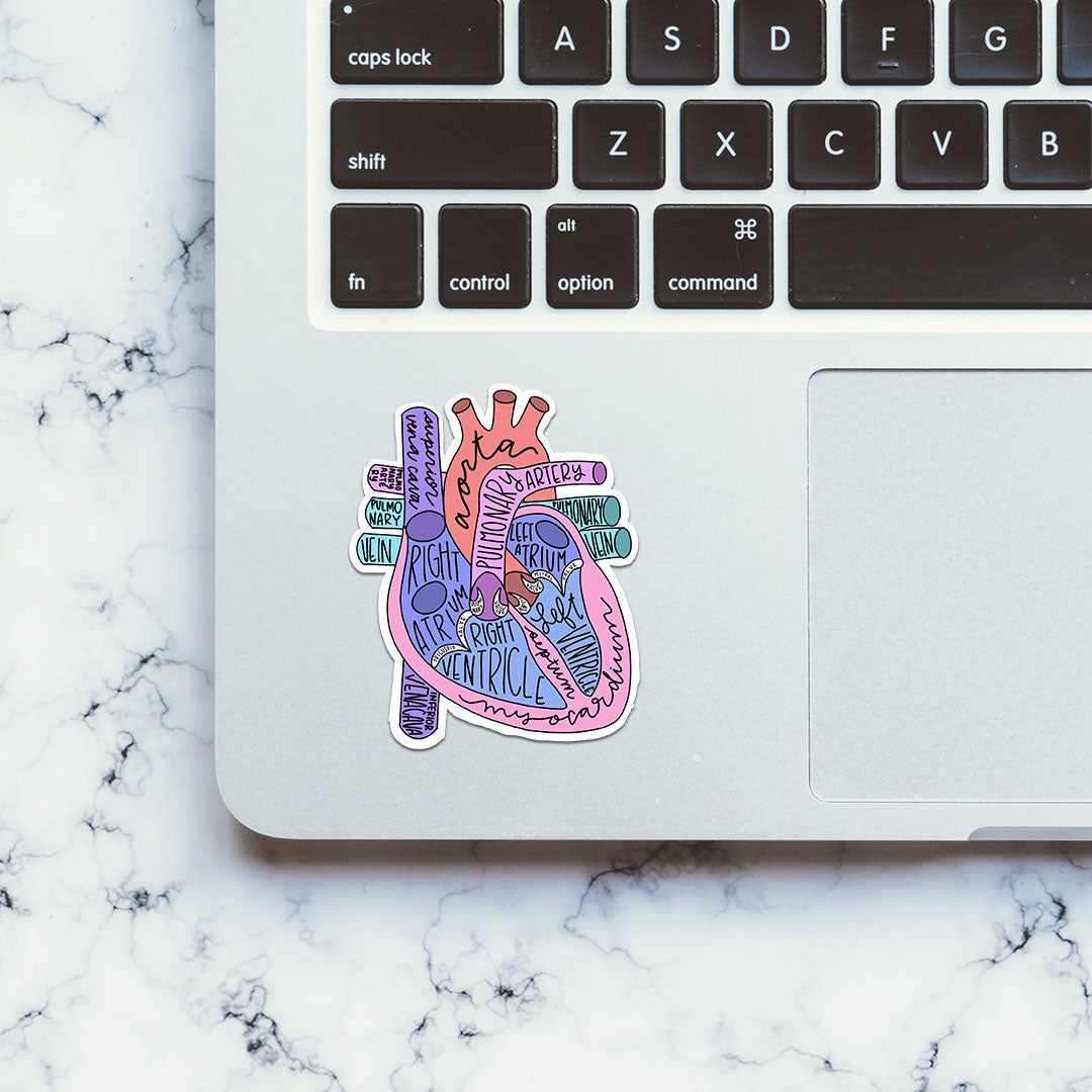 Anatomy Of Heart Sticker - Image 4